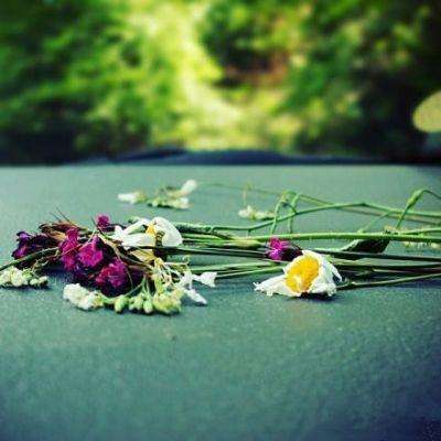 贝博bb平台体育全站版